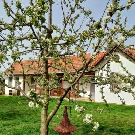 Tájház Nagykör? - Egyéb