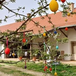 Tájház Nagykör? - Egyéb