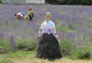 Tisza-tavi Levendulás Tiszaderzs