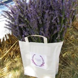 Tisza-tavi Levendulás, Tiszaderzs - Egyéb