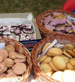 Tisza-tavi Levendulás