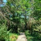 Tiszaigari Arborétum Tiszaigar - Egyéb