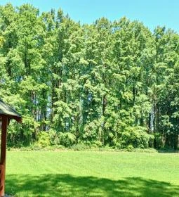 Tiszaigari Arborétum