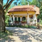 Tiszaigari Arborétum Tiszaigar - Egyéb