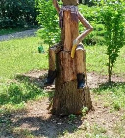 Tiszaigari Arborétum