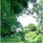 Tiszaigari Arborétum Tiszaigar - Egyéb