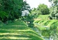 Tiszaigari Arborétum Tiszaigar