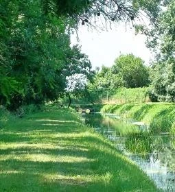 Tiszaigari Arborétum