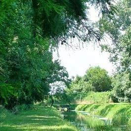 Tiszaigari Arborétum Tiszaigar - Egyéb