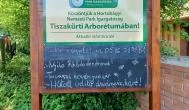 Tiszakürti Arborétum Tiszakürt - Egyéb