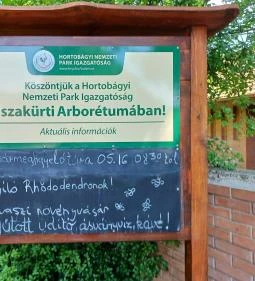 134. legjobb látnivaló: Tiszakürti Arborétum