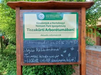 Tiszakürti Arborétum Tiszakürt