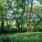 Tiszakürti Arborétum Tiszakürt - Egyéb