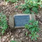 Tiszakürti Arborétum Tiszakürt - Egyéb