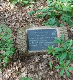 Tiszakürti Arborétum