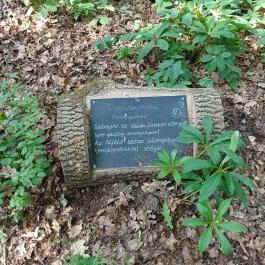 Tiszakürti Arborétum Tiszakürt - Egyéb