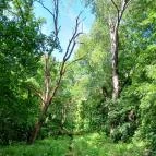 Tiszakürti Arborétum Tiszakürt - Egyéb