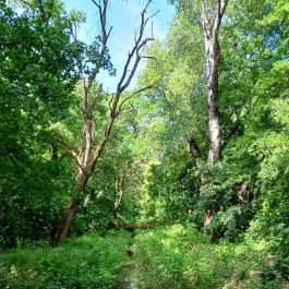 Tiszakürti Arborétum Tiszakürt - Egyéb