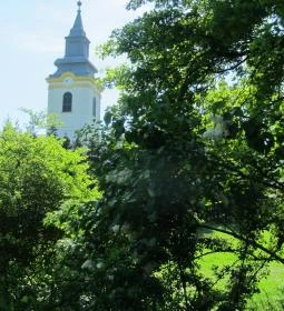 Tiszakürti Arborétum