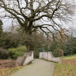 Tiszakürti Arborétum Kalandpark Tiszakürt - Egyéb