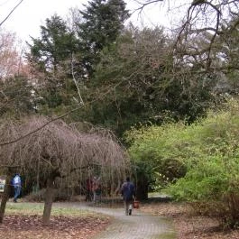 Tiszakürti Arborétum Kalandpark Tiszakürt - Egyéb