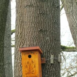 Tiszakürti Arborétum Kalandpark Tiszakürt - Egyéb