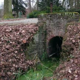 Tiszakürti Arborétum Kalandpark Tiszakürt - Egyéb