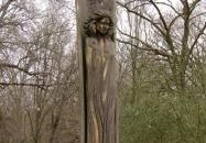 Tiszakürti Arborétum Kalandpark Tiszakürt