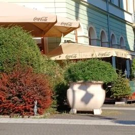 Trattoria La Prima, Kaposvár - Egyéb