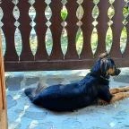 Tugári Vendégház Hollókő - Egyéb