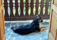 Tugári Vendégház Hollókő