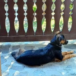 Tugári Vendégház , Hollókő - Egyéb