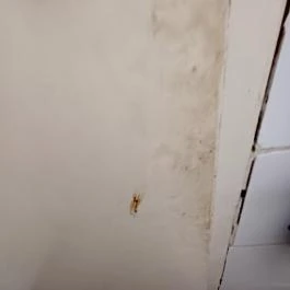 Tulipán Étterem, Simontornya - Egyéb