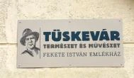 Tüskevár Emlékház Kunszentmárton - Egyéb