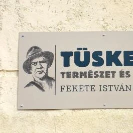 Tüskevár Emlékház Kunszentmárton - Egyéb