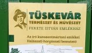 Tüskevár Emlékház Kunszentmárton - Egyéb
