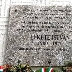 Tüskevár Emlékház Kunszentmárton - Egyéb