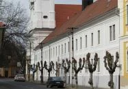 Váci Szent Anna Piarista templom Vác