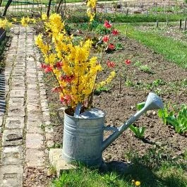 Vácrátóti Arborétum Vácrátót - Külső kép