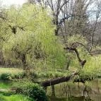 Vácrátóti Arborétum Vácrátót - Külső kép