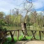 Vácrátóti Arborétum Vácrátót - Külső kép