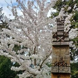 Vácrátóti Arborétum Vácrátót - Külső kép