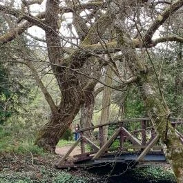 Vácrátóti Arborétum Vácrátót - Külső kép