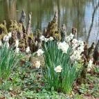Vácrátóti Arborétum Vácrátót - Külső kép