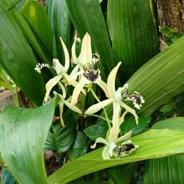 Vácrátóti Arborétum Vácrátót - Külső kép