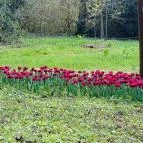 Vácrátóti Arborétum Vácrátót - Külső kép