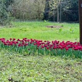 Vácrátóti Arborétum Vácrátót - Külső kép