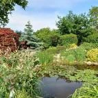 Vadász Csárda Tápióbicske - Egyéb