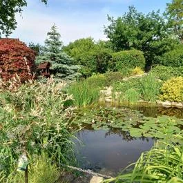 Vadász Csárda, Tápióbicske - Egyéb