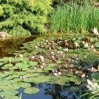 Vadász Csárda Tápióbicske - Egyéb